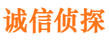 带岭诚信私家侦探公司